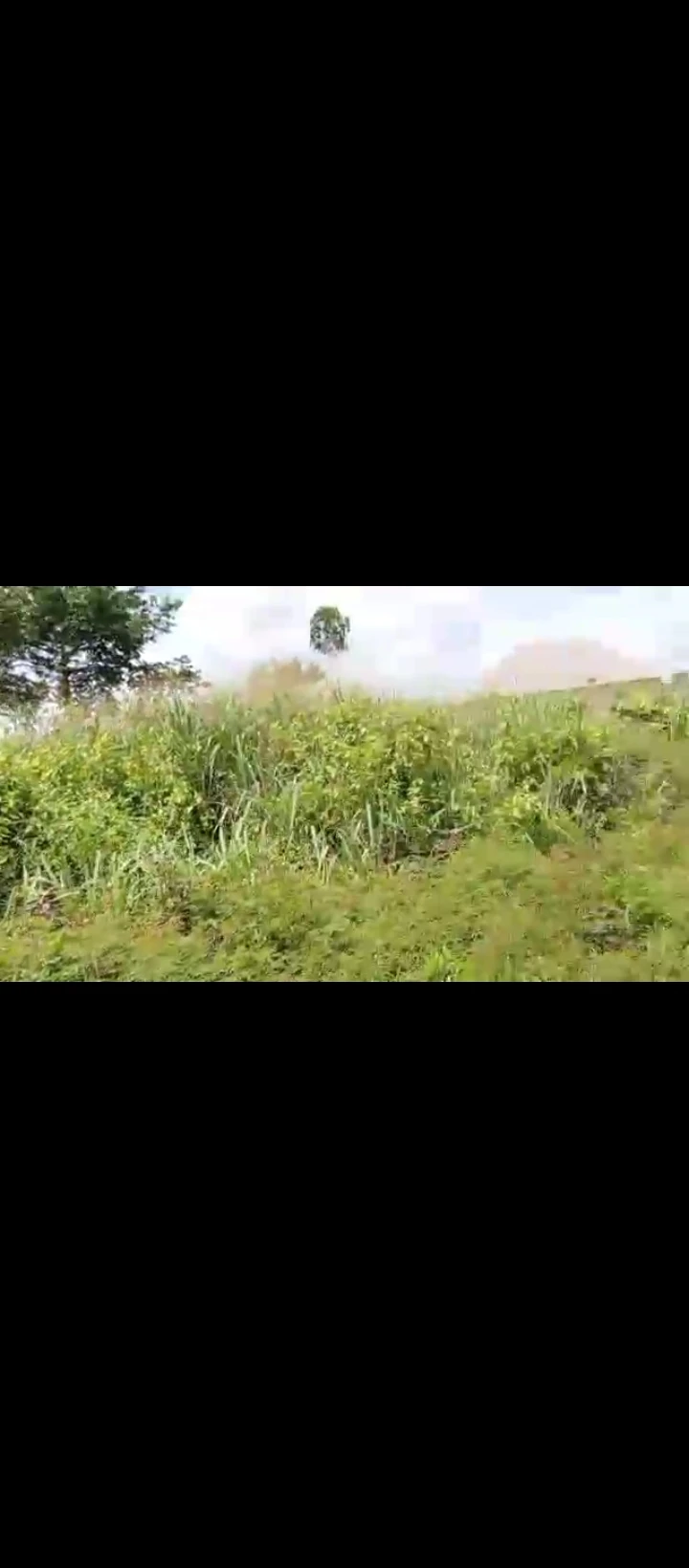Land for Sale in Uwo community phase 2, Edo - Image 1
