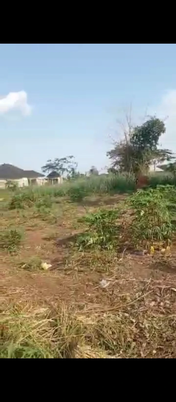 Land for Sale in Uhie community off sapele road, Edo - Image 1