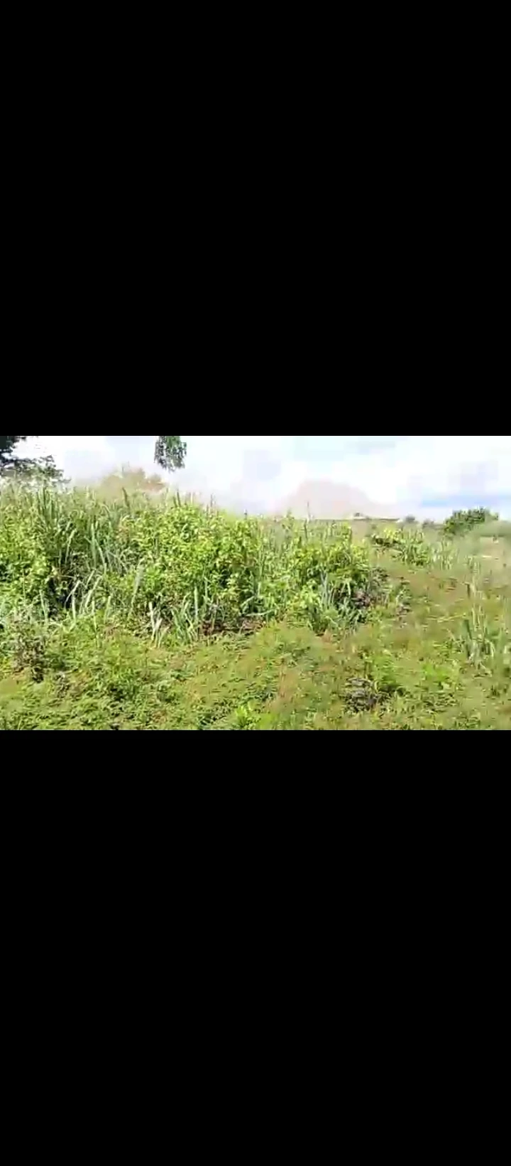 Land for Sale in The property situate at Egbirhe very close to the road, Edo - Image 1