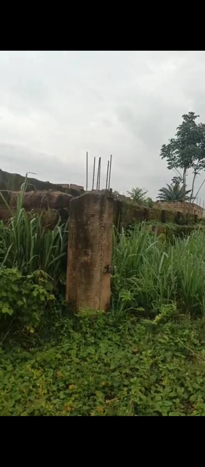 Land for Sale in The subject property situate at RESOURCES GATE SCHOOL ROAD CLOSE TO BUVEL FILLING STATION, ARUOGBA COMMUNITY OFF AIRPORT ROAD, Edo - Image 2