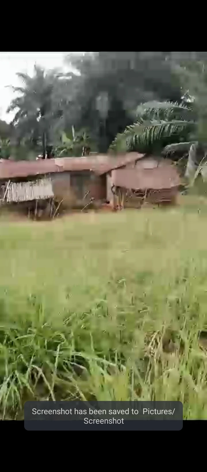 Land for Sale in Ake- ilobi Obabor, Edo - Image 1