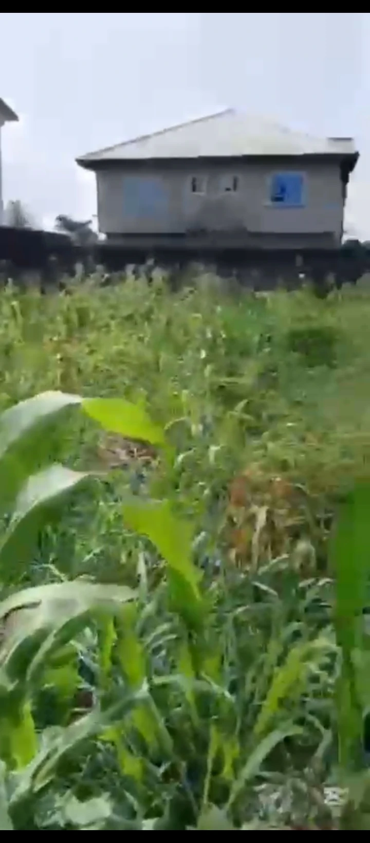 Land for Sale in Mtn Mast road Ugbor, Edo - Image 1