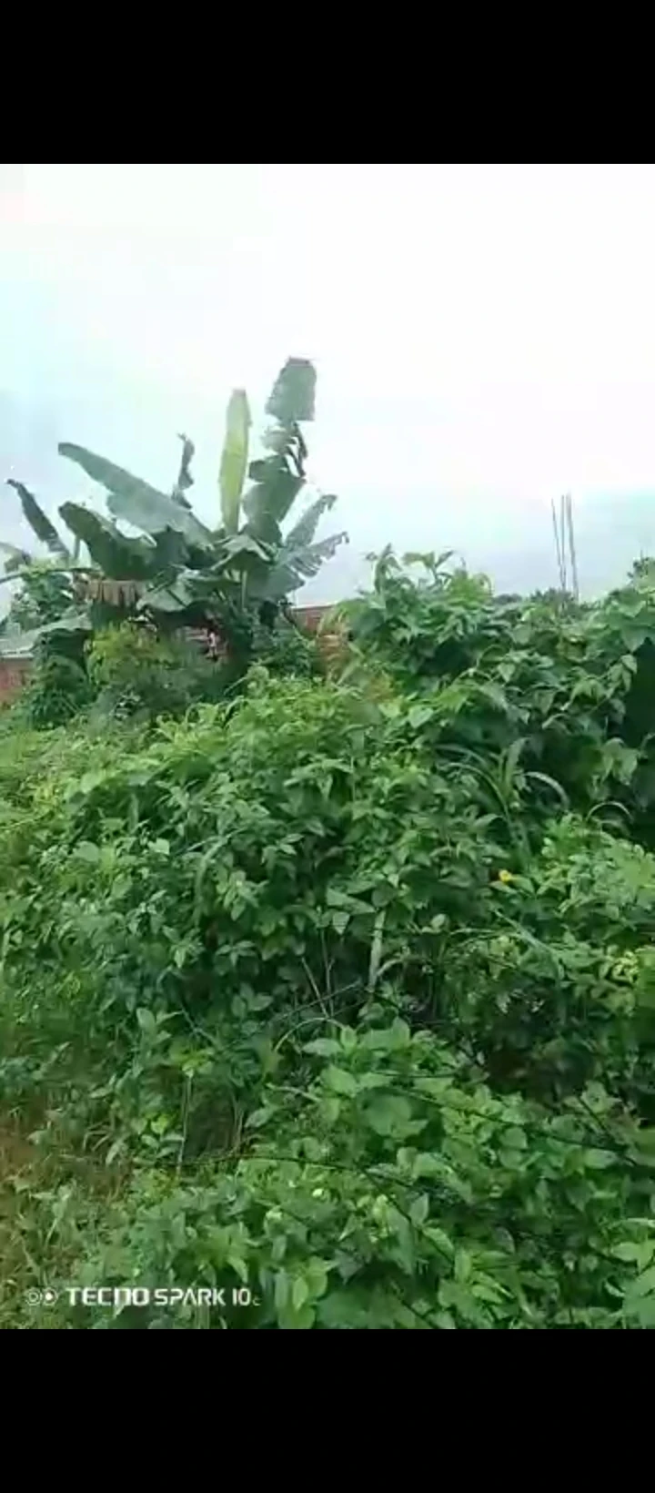 Land for Sale in Egbirhe/Okhuoromi community off Airport road, Edo - Image 1