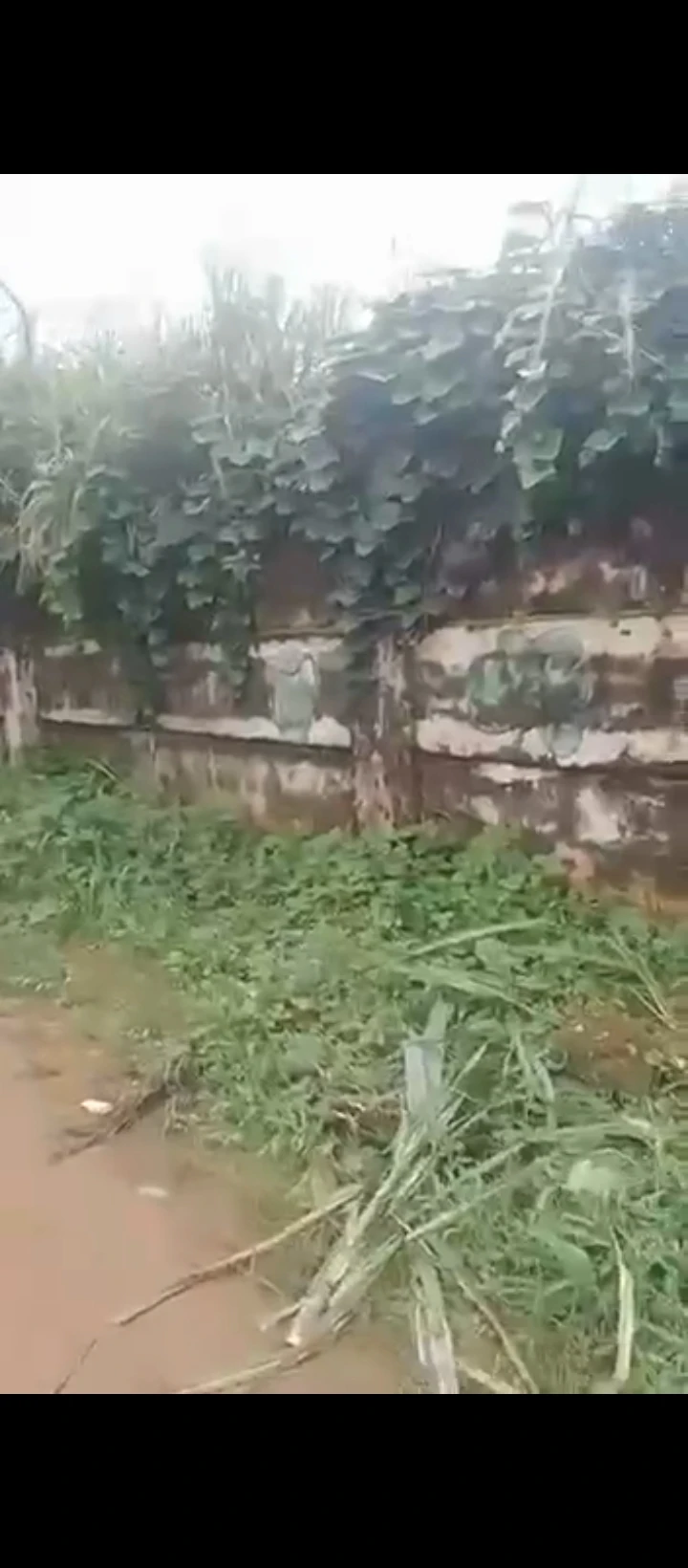 Land for Sale in Benin city, Edo - Image 1
