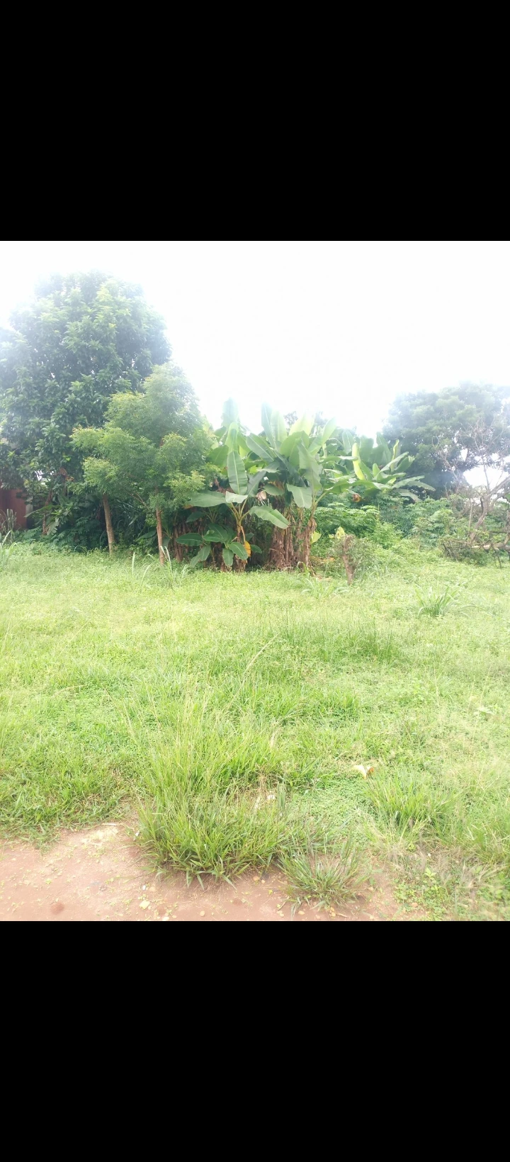 Land for Sale in Amagba GRA, Edo - Image 1