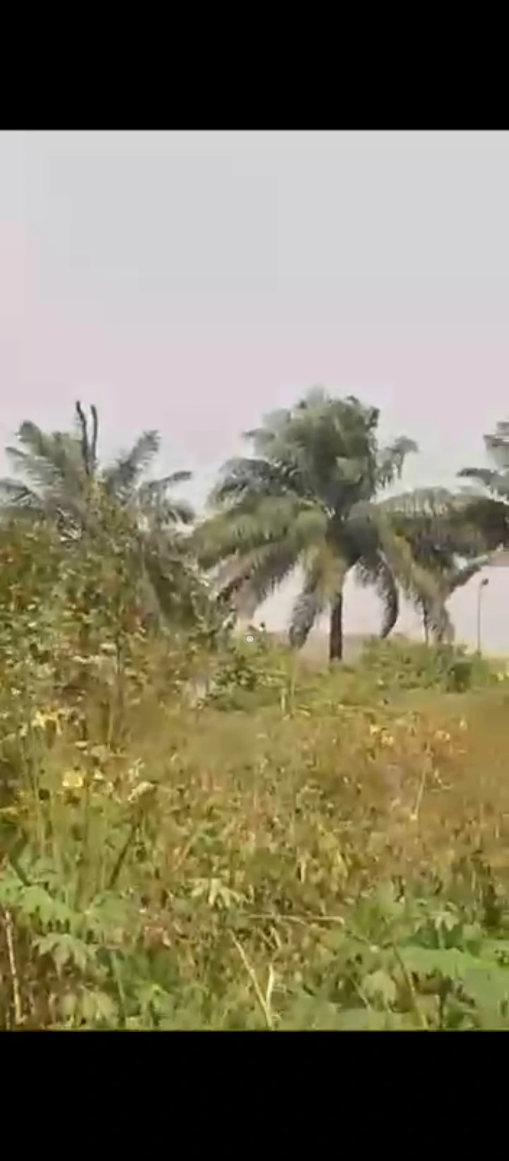 Land for Sale in New Lagos Express Road, Edo - Image 2