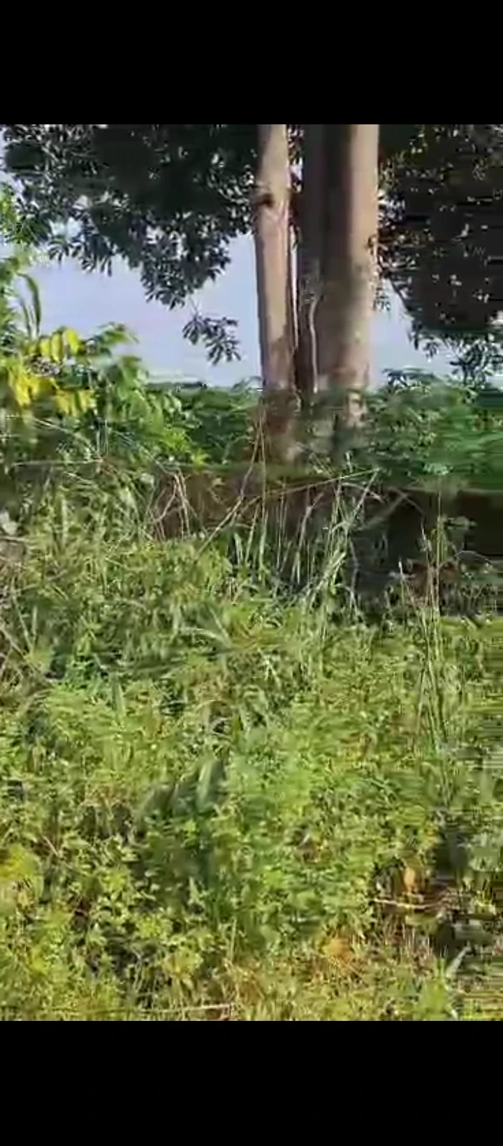 Land for Sale in Benin city, Edo - Image 1