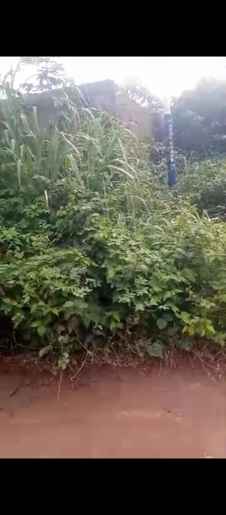 Land for Sale in Amagba GRA, Edo - Image 1