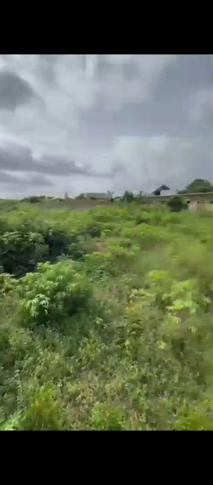 Land for Sale in Situate at Micheal Agbonifo by Amagba Benin city, Edo - Image 1
