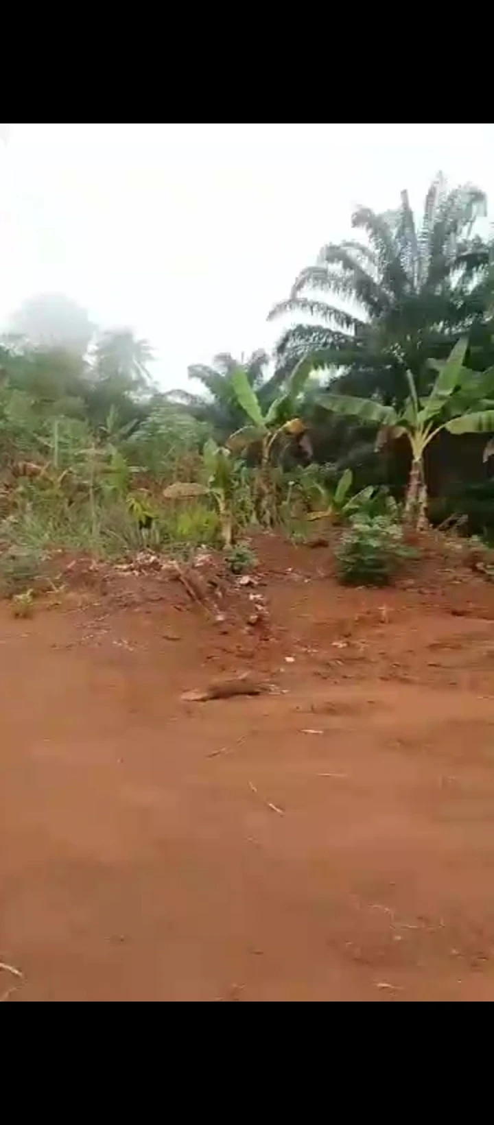 Land for Sale in Upper siluko road, Edo - Image 1