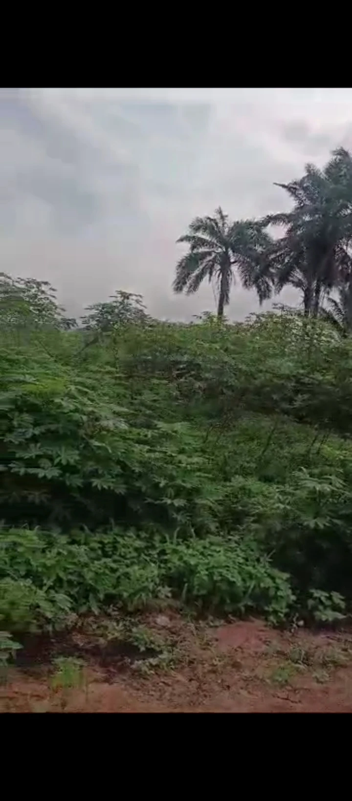 Land for Sale in Off airport road, Edo - Image 1