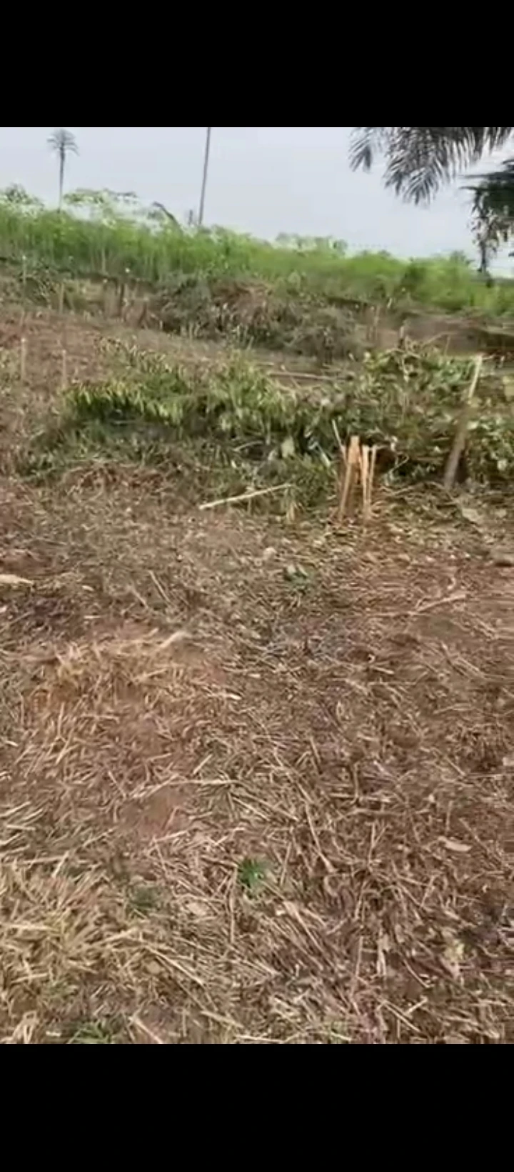 Land for Sale in Evbuovbuke community, off airport road, after Ulemon community., Edo - Image 1