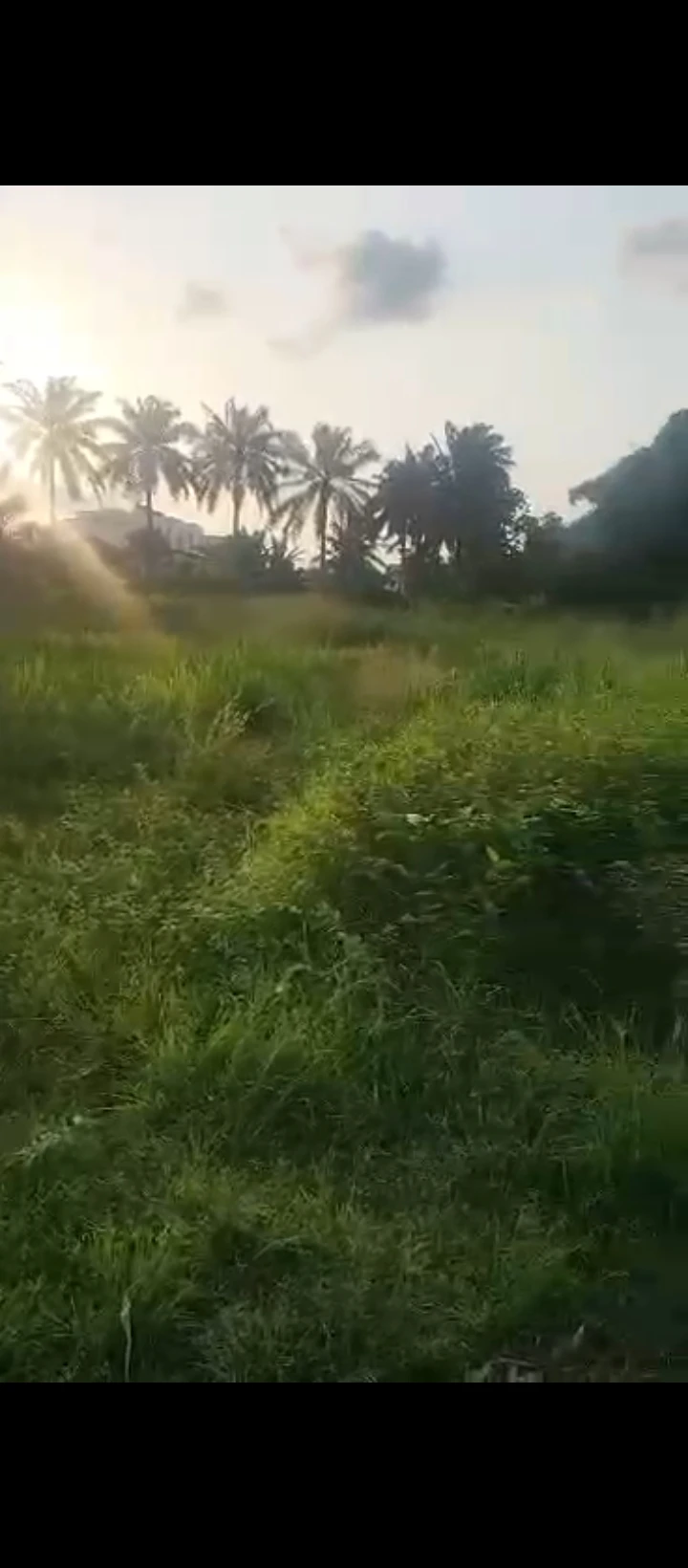 Land for Sale in Ikpokpan road, old GRA, Edo - Image 1