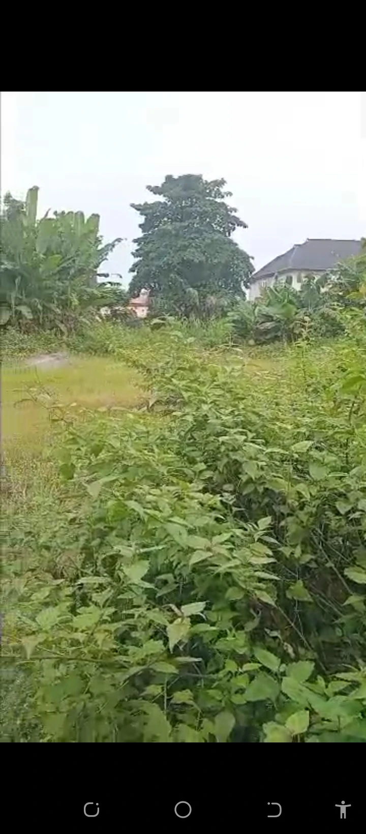 Land for Sale in Akhionbare Road, GRA Benin City, Edo - Image 1