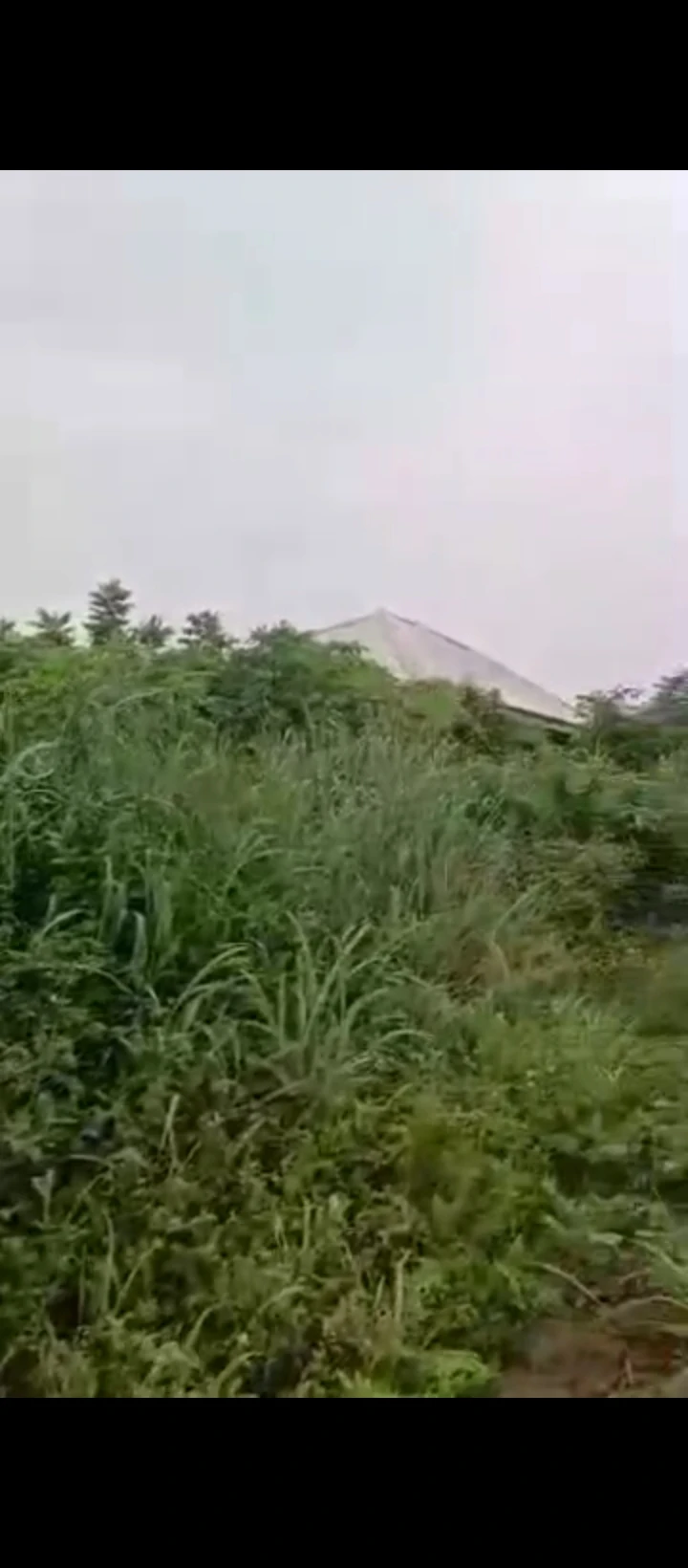 Land for Sale in Off airport road arougba, Edo - Image 1