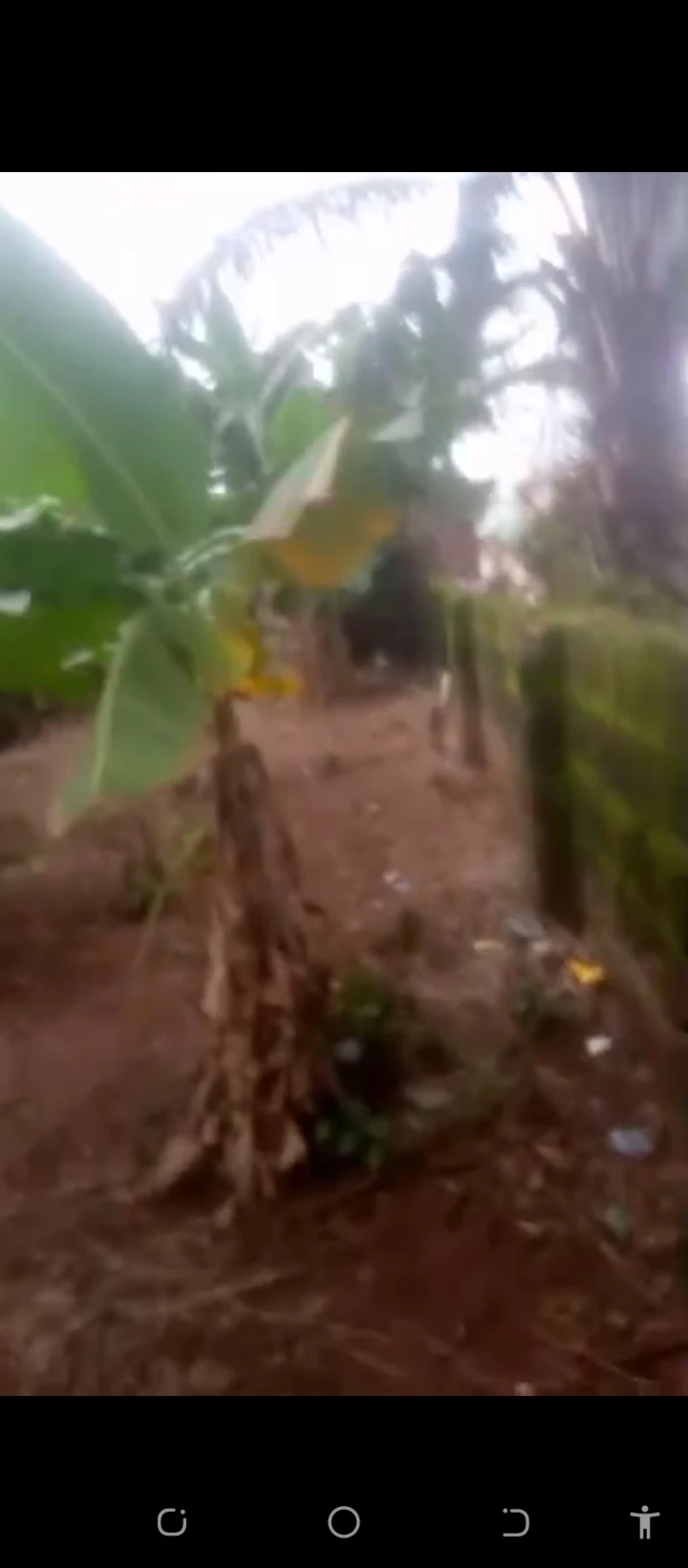 Land for Sale in Ugbor by mtn mast, Edo - Image 1