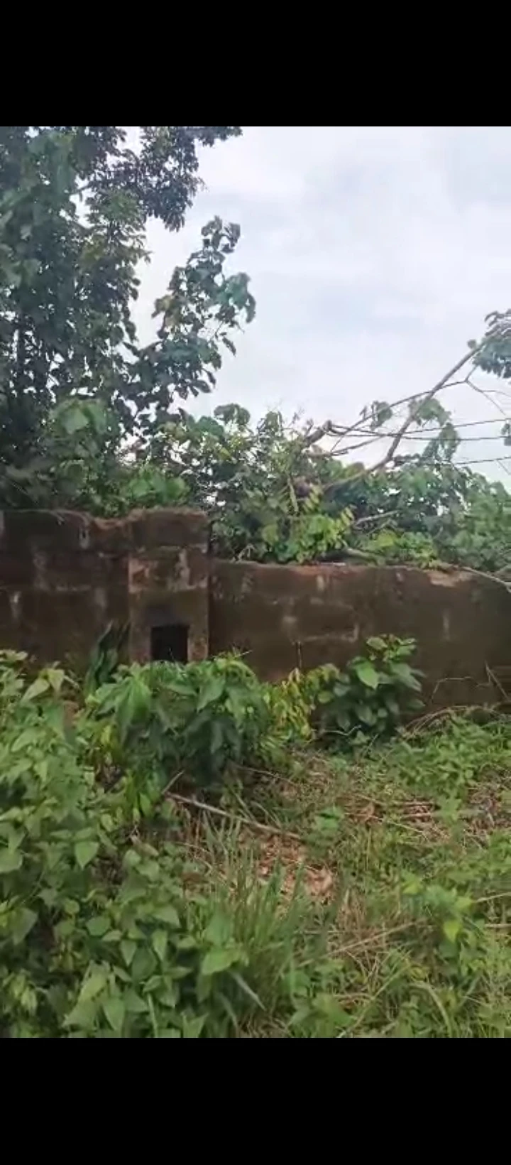 Land for Sale in Okouromi, Edo - Image 1