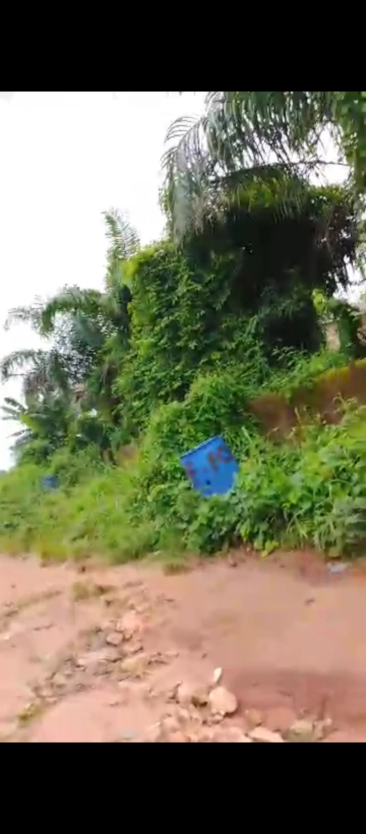 Land for Sale in Ogunmwenyi Ugbor, Edo - Image 1
