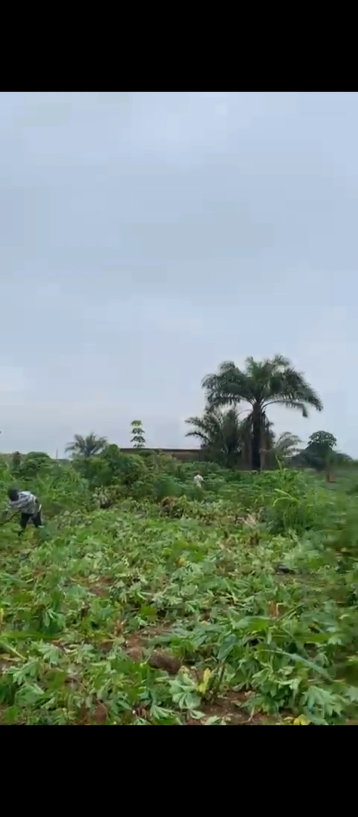 Land for Sale in Obagie off airport road, Edo - Image 1