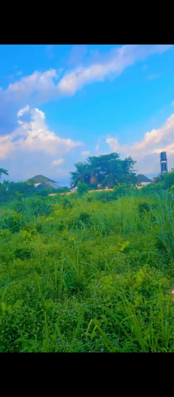 Land for Sale in Country home road, Edo - Image 1
