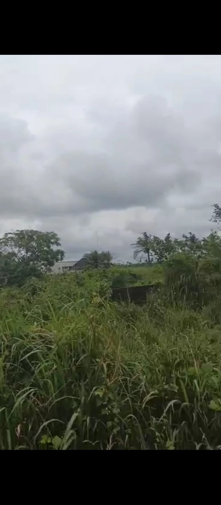 Land for Sale in Obagie  off sapele road, Edo - Image 1