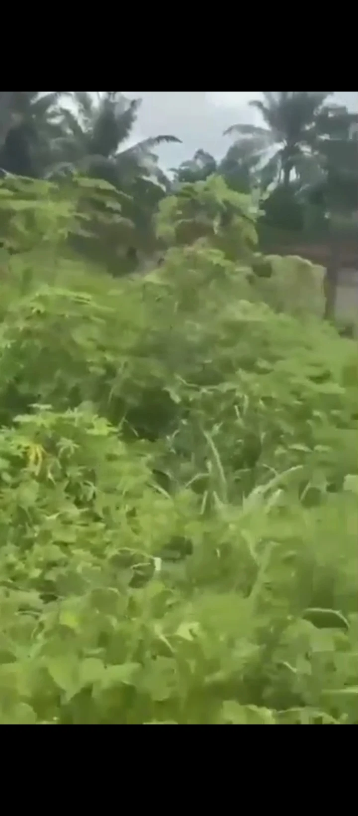Land for Sale in Obagie  off sapele road, Edo - Image 1