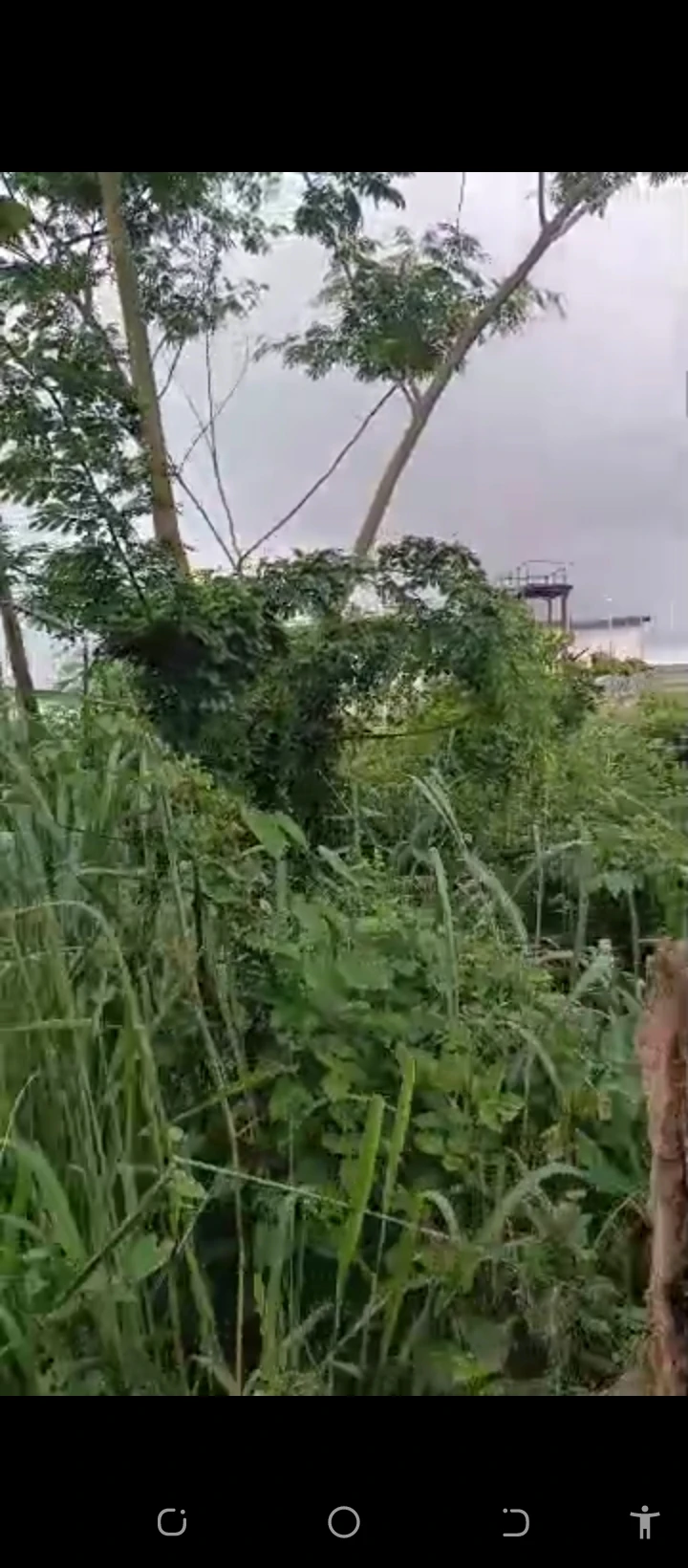 Land for Sale in Arougba by airport road Benin city, Edo - Image 1