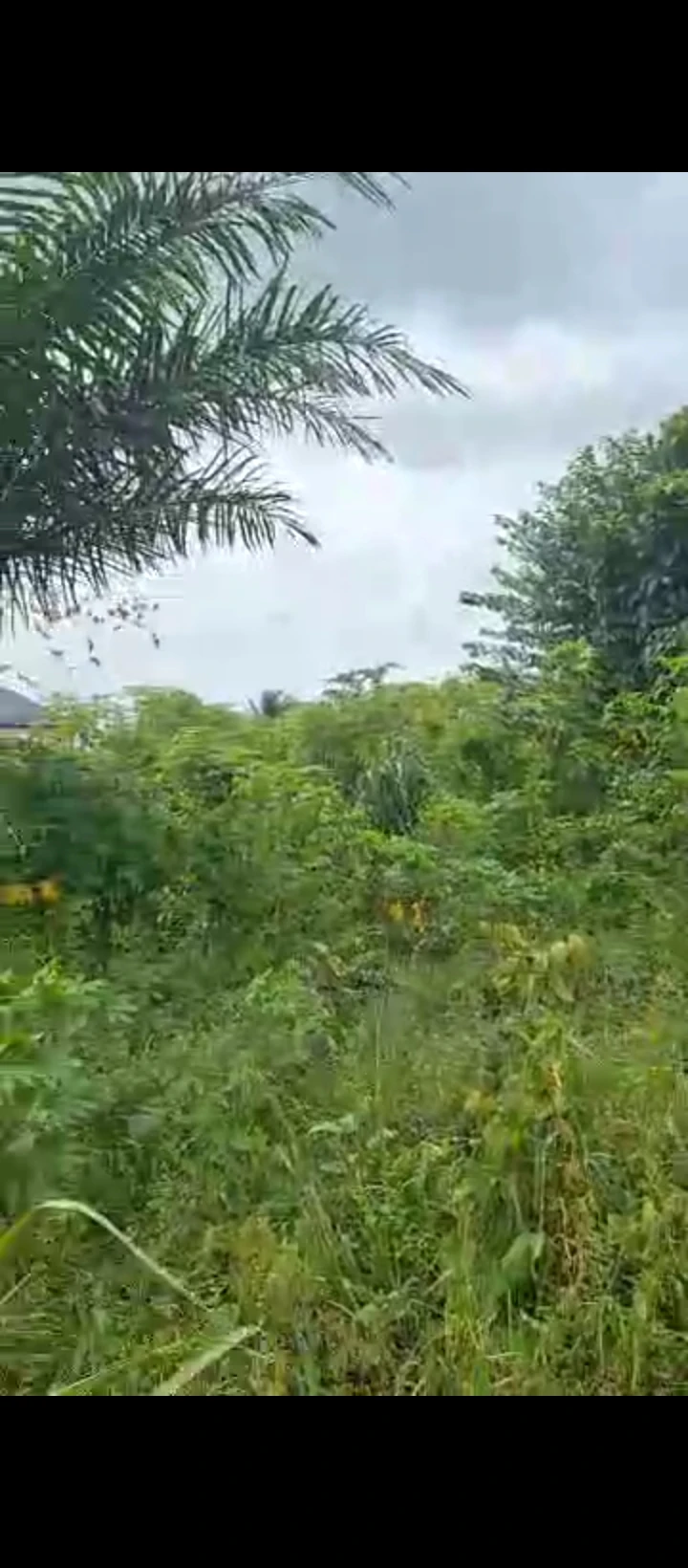 Land for Sale in Amagba GRA, Edo - Image 1