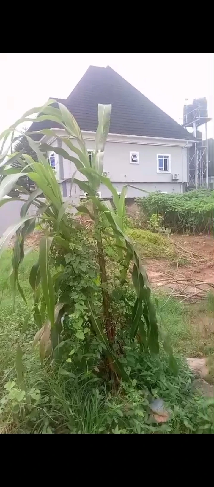 Land for Sale in Ugbor Central GRA, Edo - Image 1