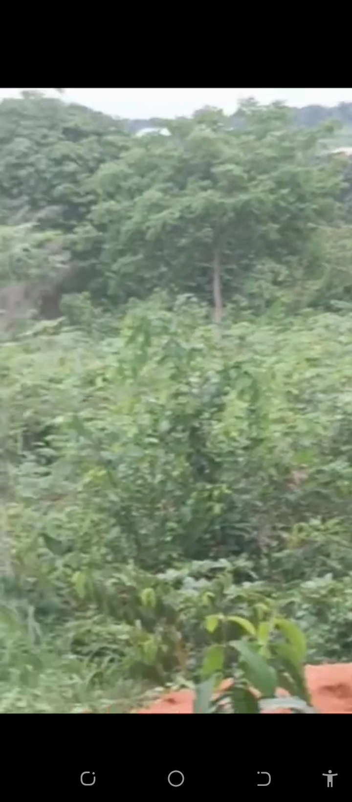 Land for Sale in Arougba by airport road Benin city, Edo cover picture