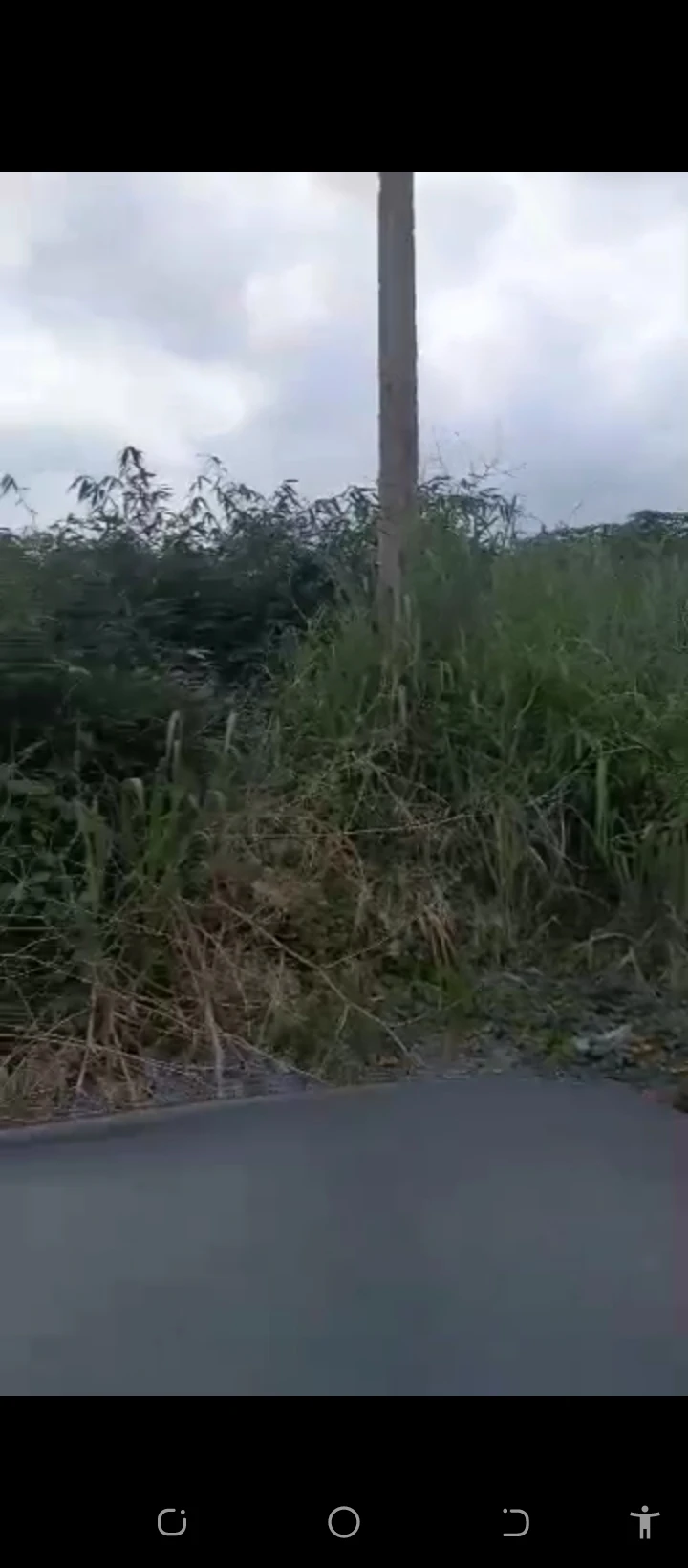Land for Sale in EVBUODIA road after the bridge airport, Edo cover picture