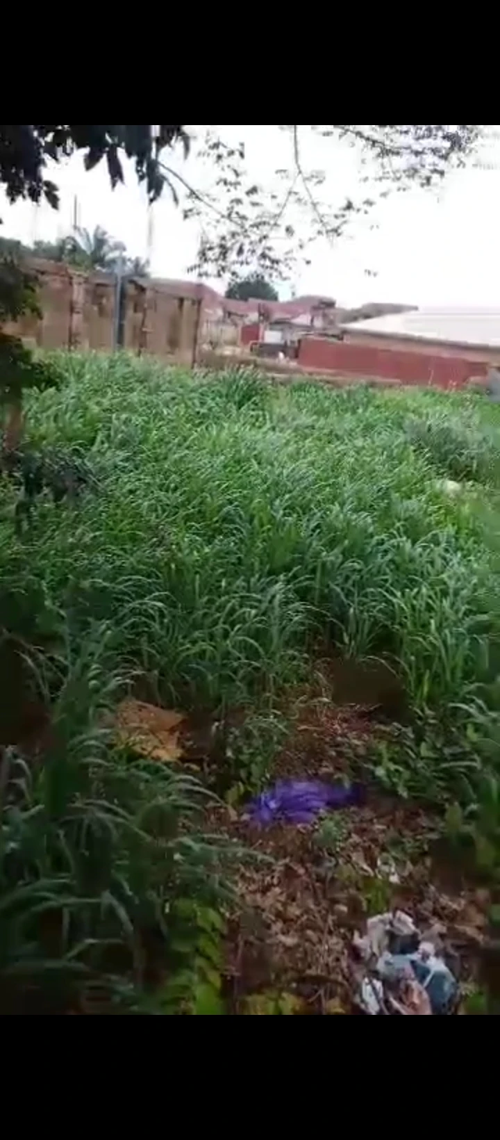 Land for Sale in BDPA around Boiling Point opposite University of Benin Ugbowo Benin, Edo cover picture