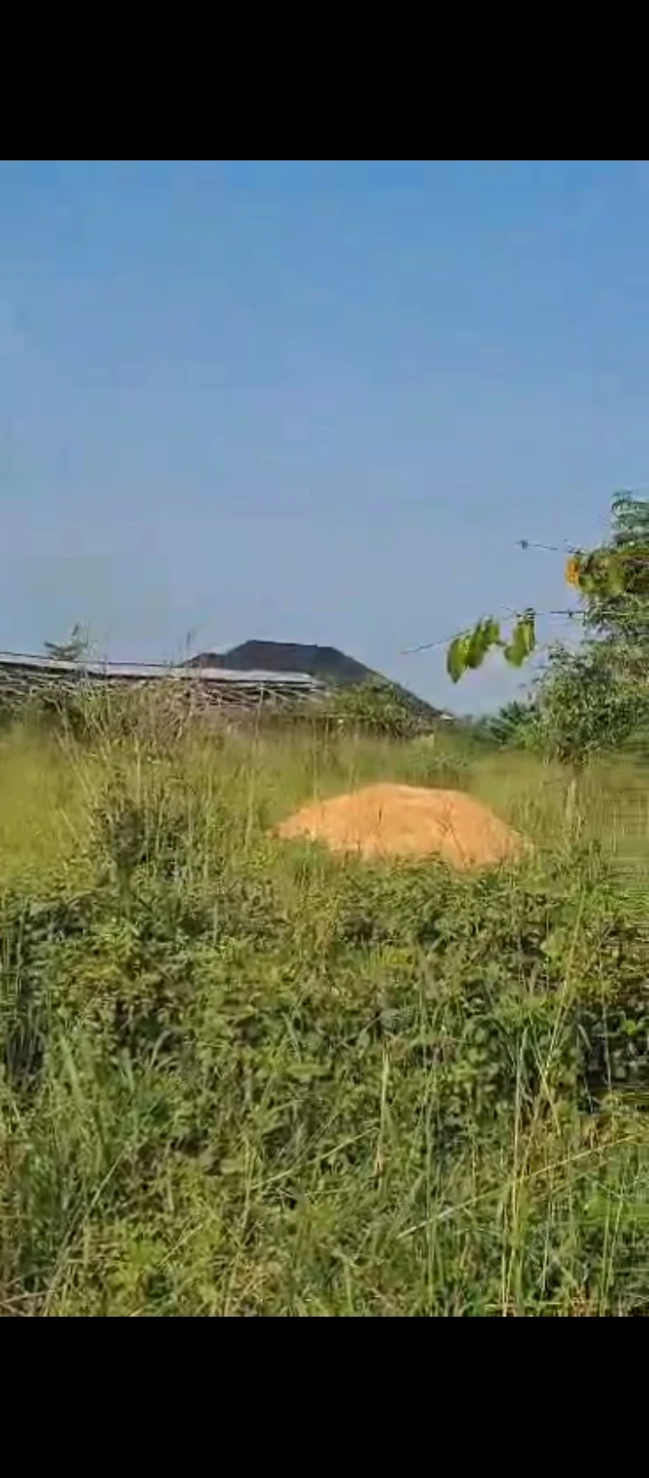 Land for Sale in Benin city, Edo cover picture
