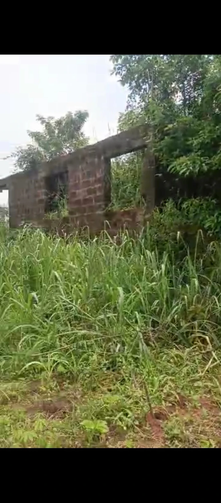 Land for Sale in Situate at Ebo back of primary school, Edo cover picture