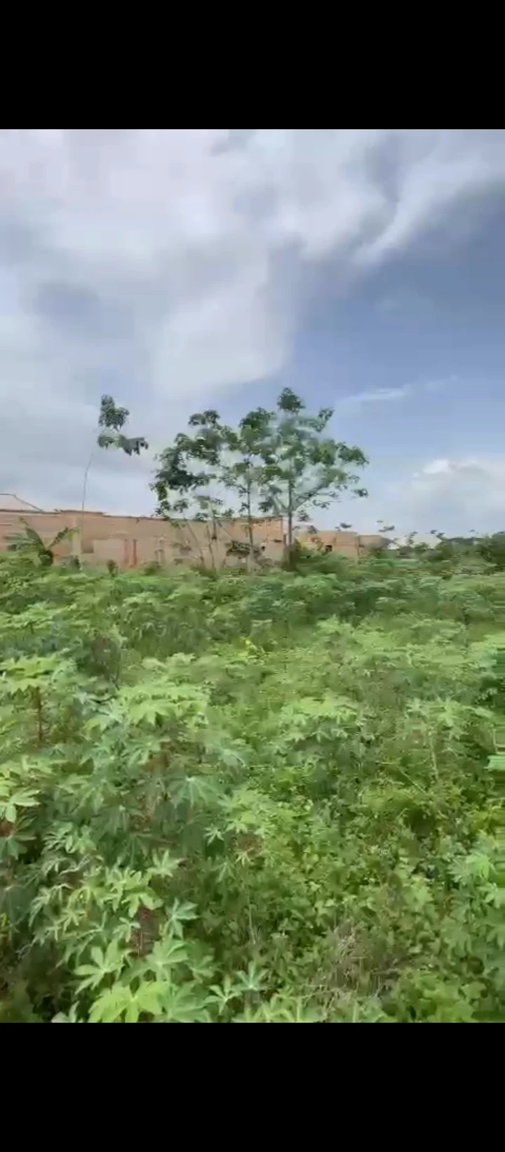 Land for Sale in Amagba GRA, Edo cover picture