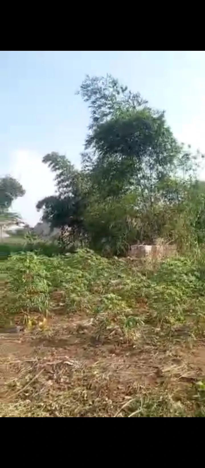 Land for Sale in Uhie community off sapele road, Edo cover picture
