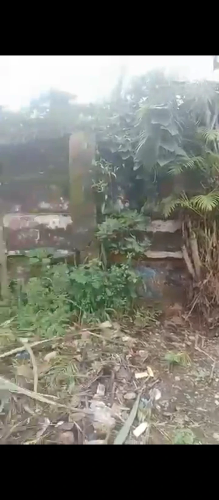 Land for Sale in Benin city, Edo cover picture