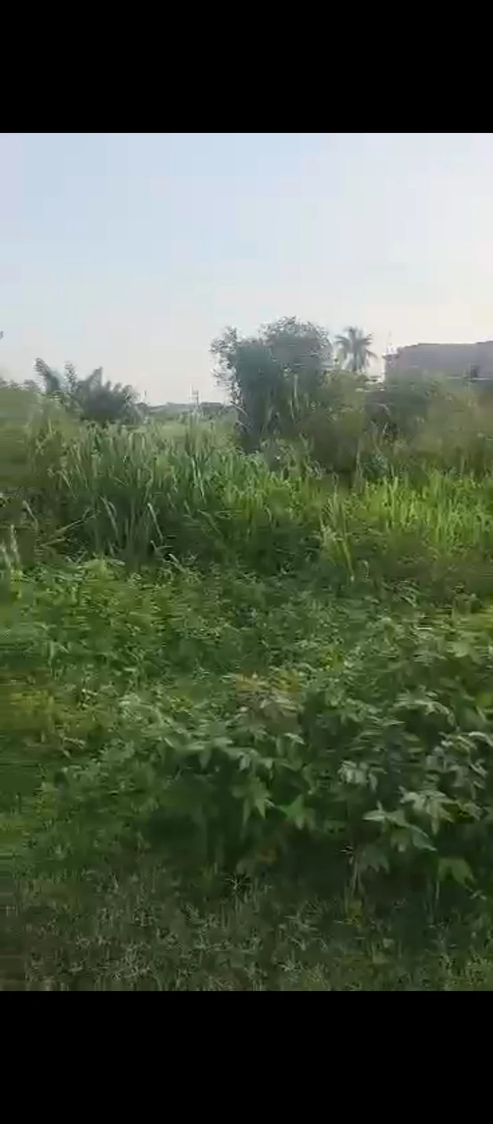 Land for Sale in Ikpokpan road, old GRA, Edo cover picture