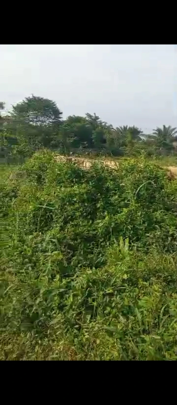 Land for Sale in UHIE BENIN CITY, Edo cover picture