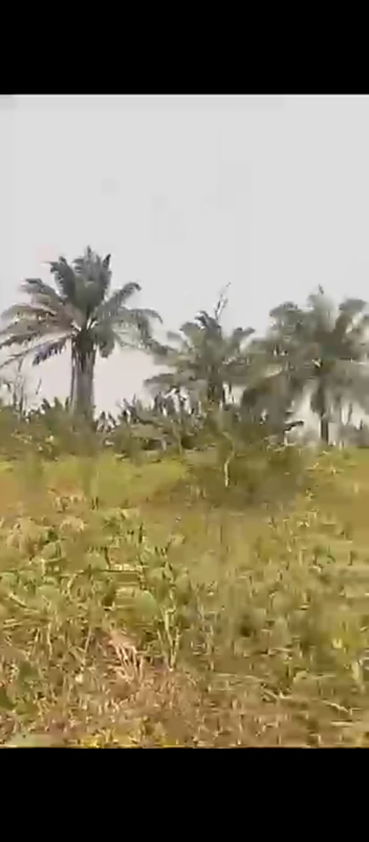 Land for Sale in New Lagos Express Road, Edo cover picture