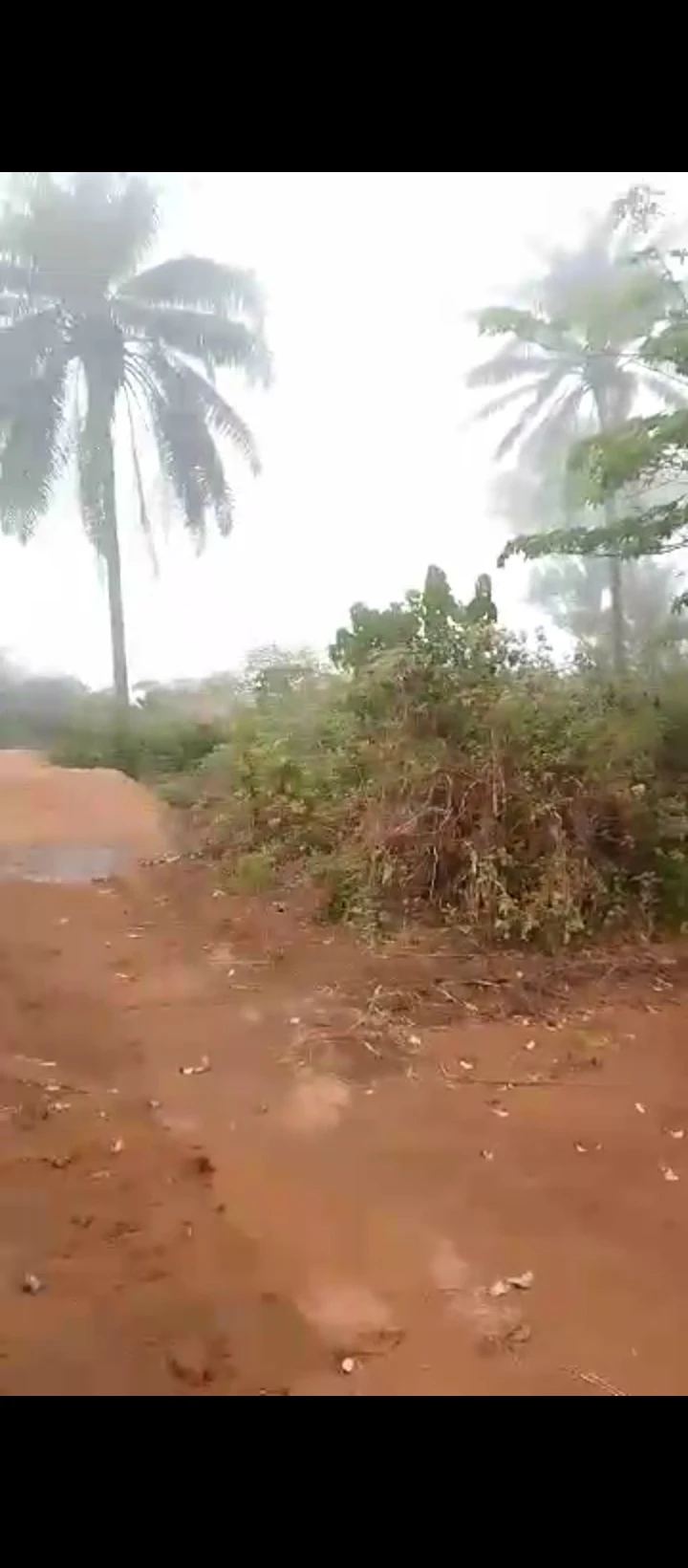 Land for Sale in Upper siluko road, Edo cover picture