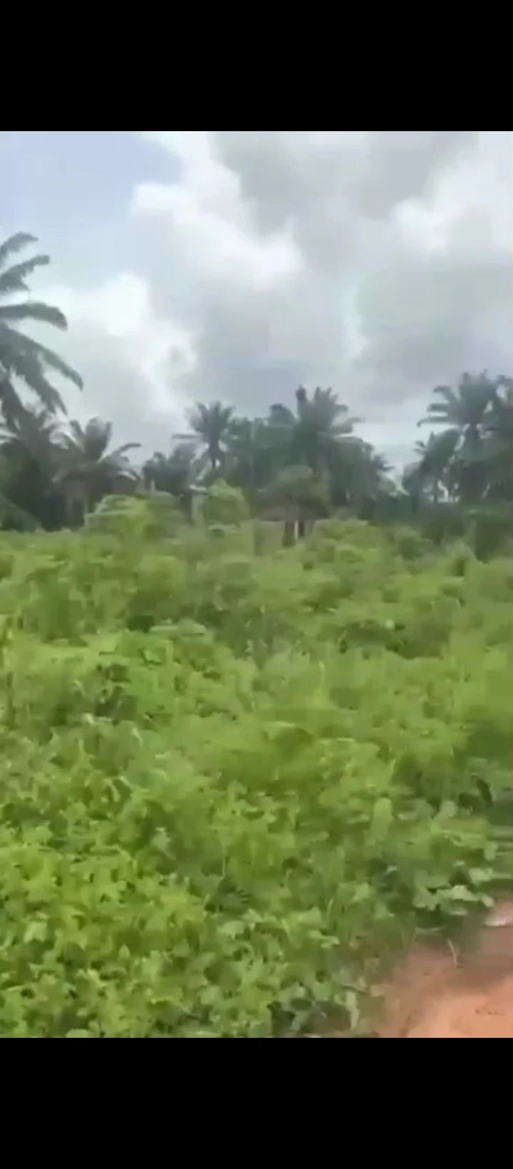 Land for Sale in Obagie  off sapele road, Edo cover picture