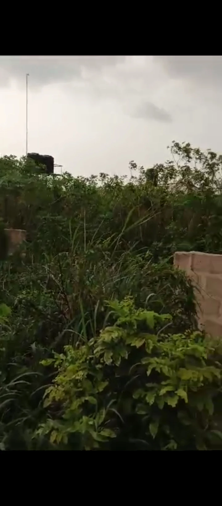 Land for Sale in Amagba GRA, Edo cover picture