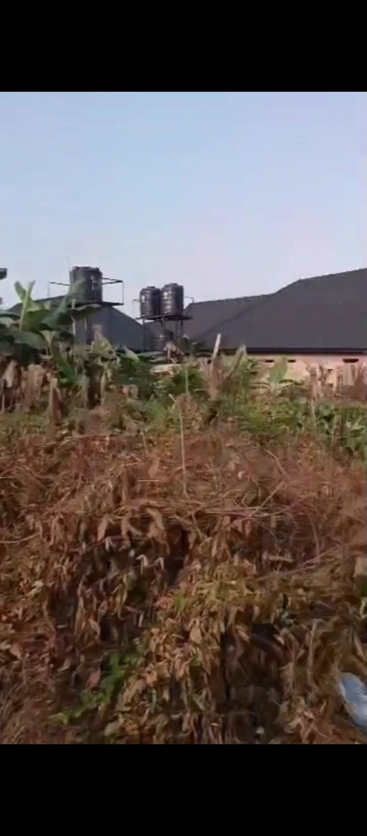 Land for Sale in Boundary between Arougba and Okouromi, Edo cover picture