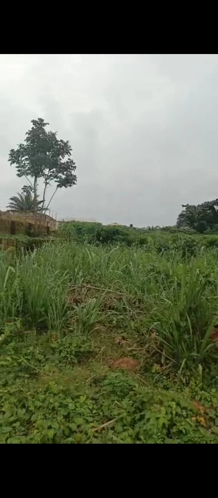 Land for Sale in Arougba off airport road Benin city, Edo cover picture