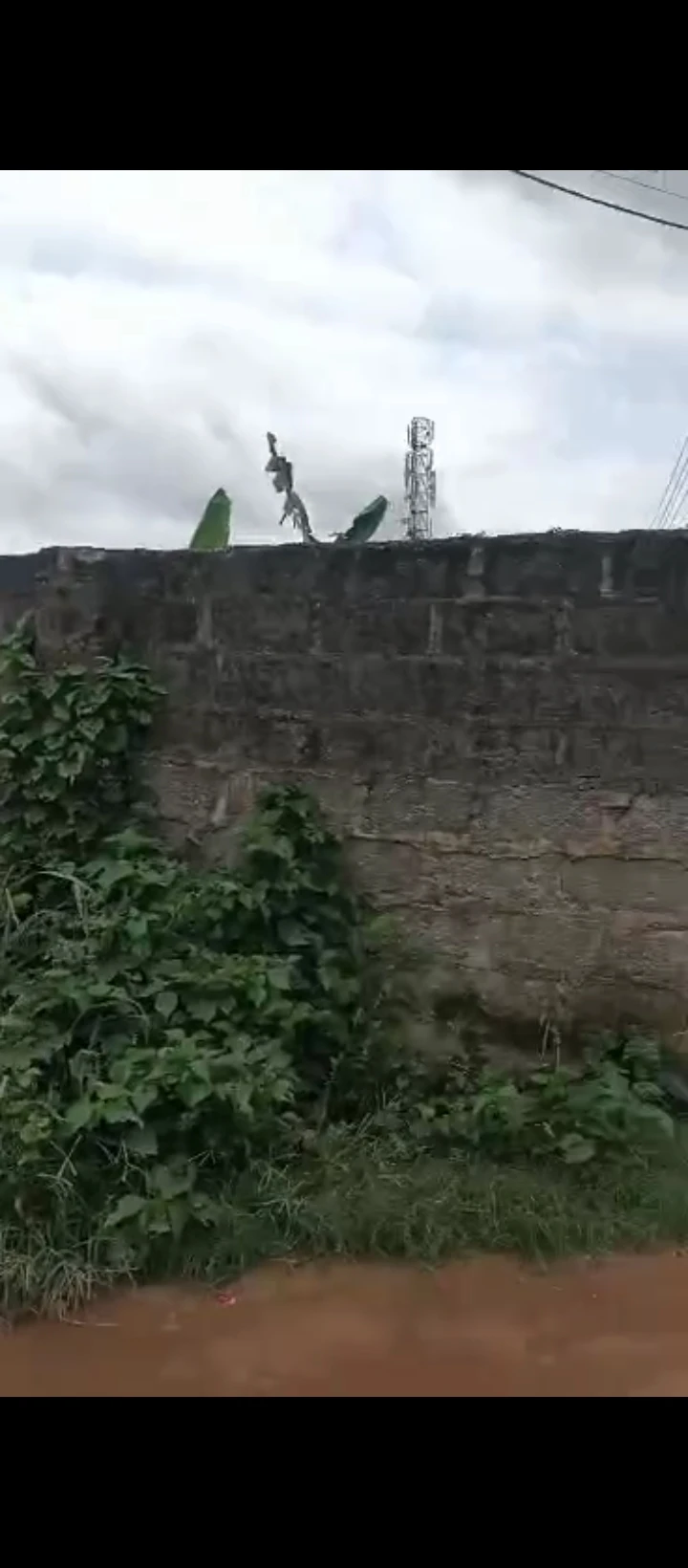 Land for Sale in Ogunwenyin waec road off ugbor central Benin city., Edo cover picture