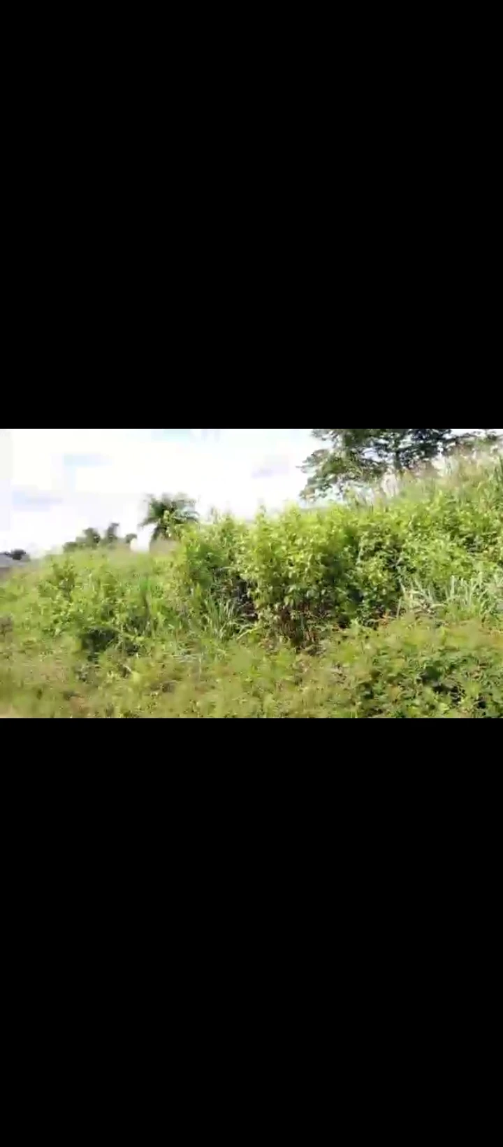 Land for Sale in Uwo community phase 2, Edo cover picture