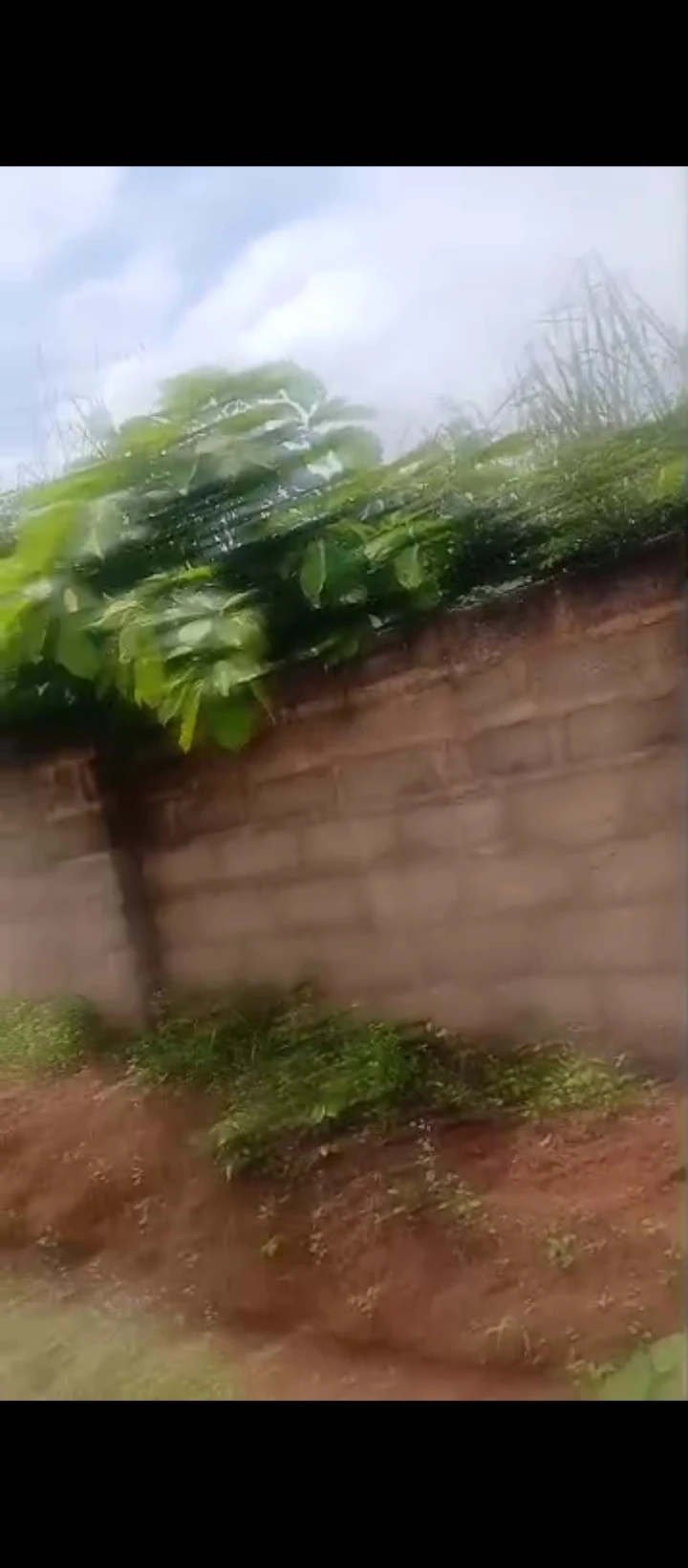 Land for Sale in Ogunmwenyi Ugbor, Edo cover picture