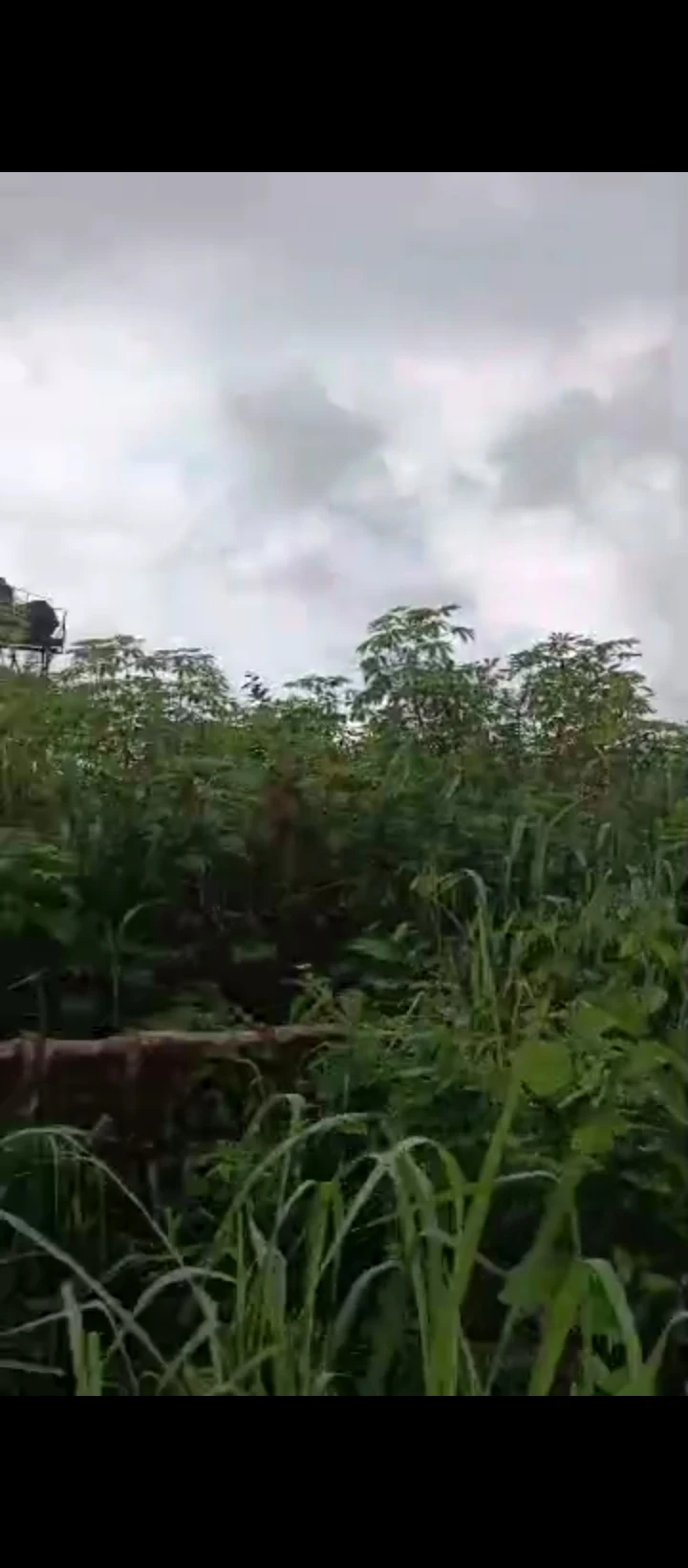 Land for Sale in Okhoromi community, Edo cover picture