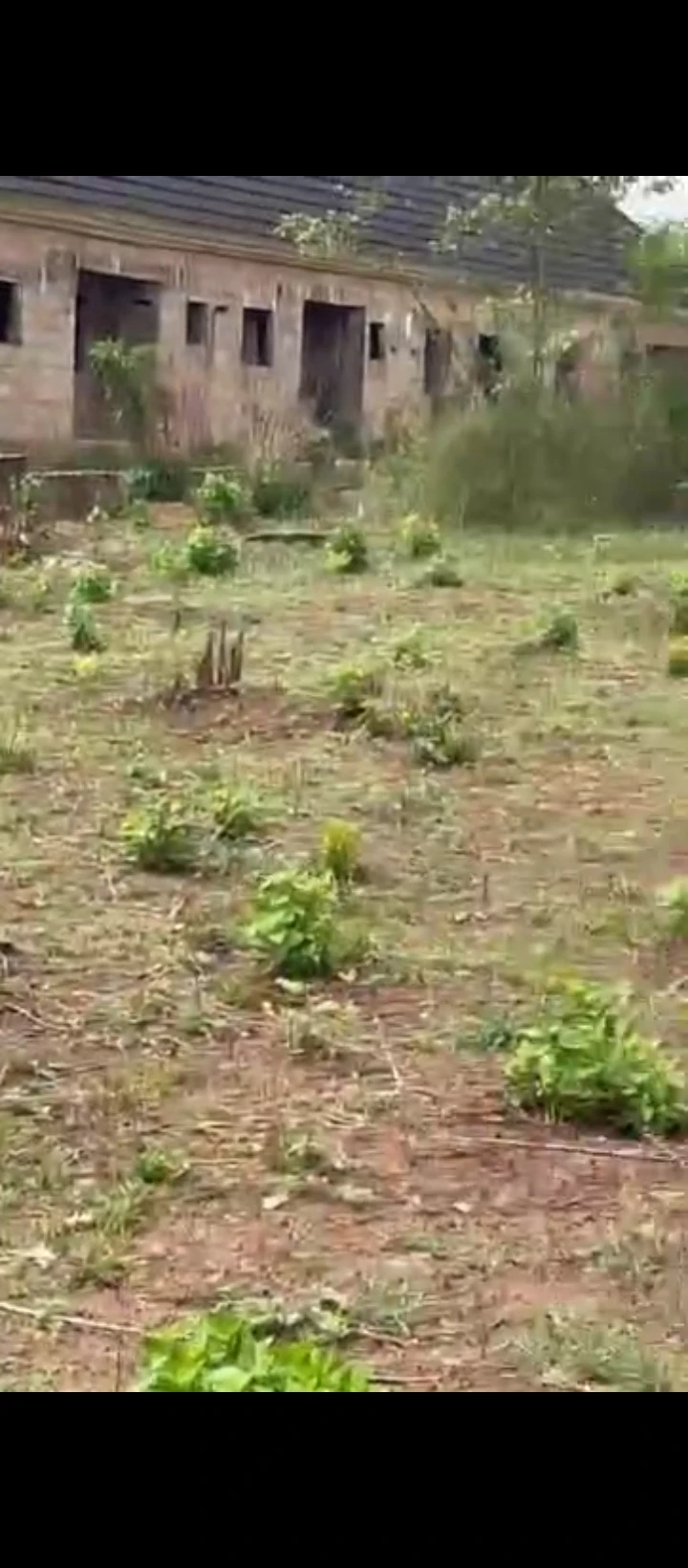Land for Sale in Situate at obagie, Edo cover picture